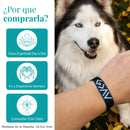 PRODUCTO EXCLUSIVO. PACK X3 PULSERAS  SHAI CON VERSÍCULOS