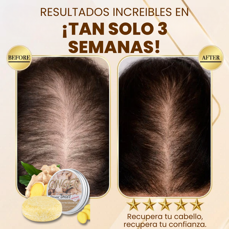 ¡ADICIONAL! CHAMPÚ EN BARRA DE JENGIBRE