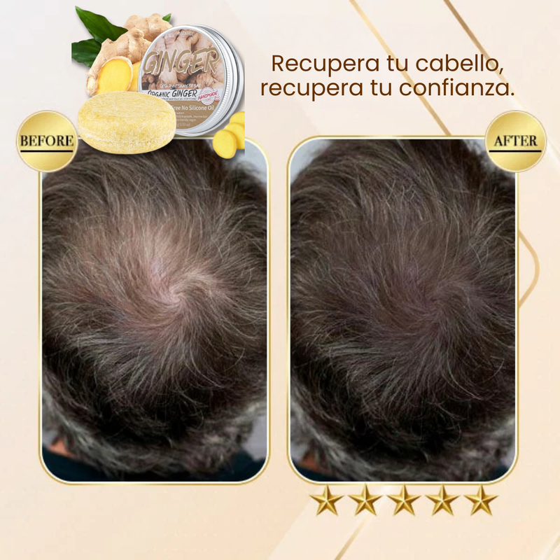 NUEVO CHAMPÚ EN BARRA DE JENGIBRE