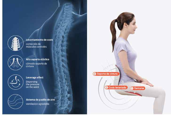 PRODUCTO NOVEDOSO! SILLA ERGONÓMICA PARA ESPALDA CURBL