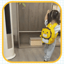 ADICIONAL MORRAL SAFARI  BARRANQUILLA